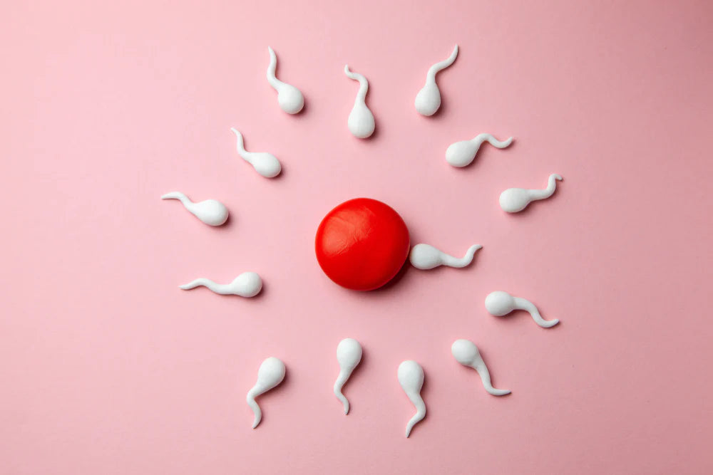 Semen Analysis: Understanding Results to Get Pregnant Faster