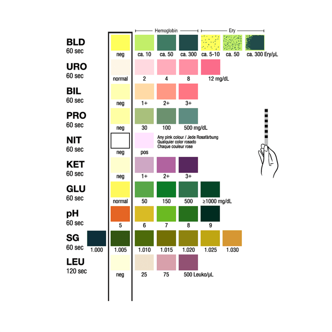 Test-it 10 - Full Panel Urine Test Strips - Homedoc